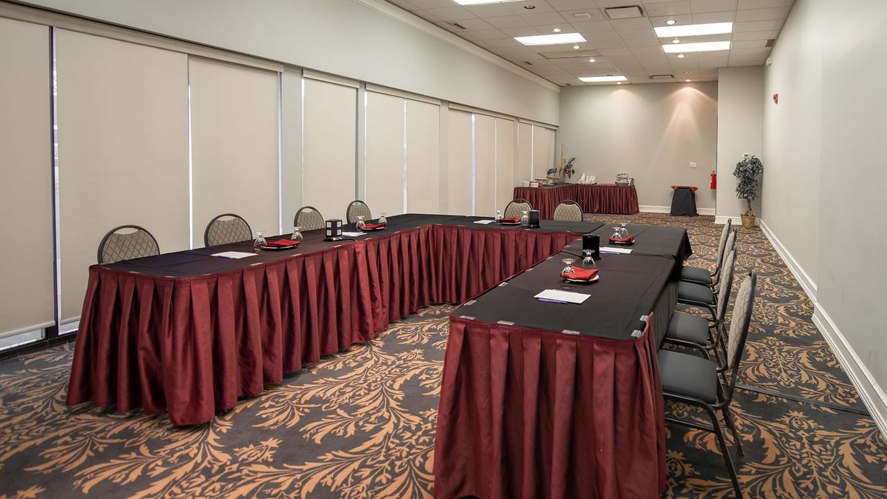 Long conference table with chairs and decorative plant in a meeting room.