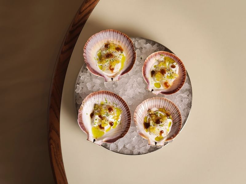 Four scallops topped with herbs, sauce, and garnish, served on a bed of ice on a plate.