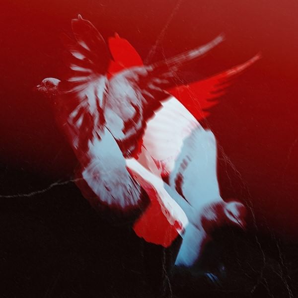 Red wallpaper featuring 2 white birds, Urban Hive Milano