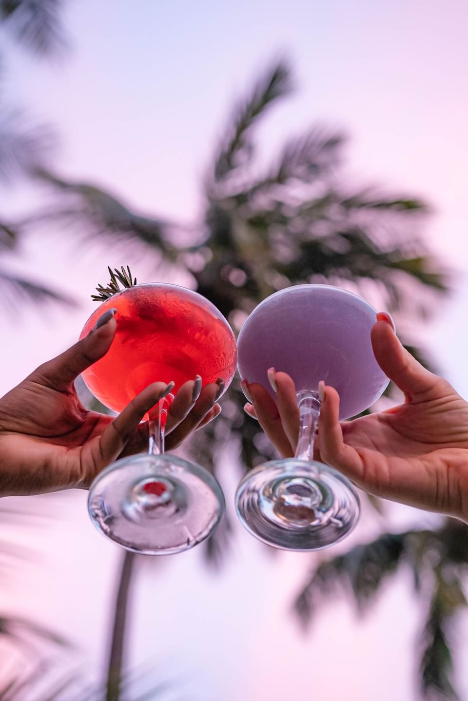 Portrait of cocktail glasses toasting at Bougainvillea Barbados