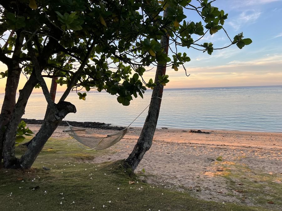 Hammock tied between two trees on beach with ocean view at Tambua Sands Beach Resort in Fiji.