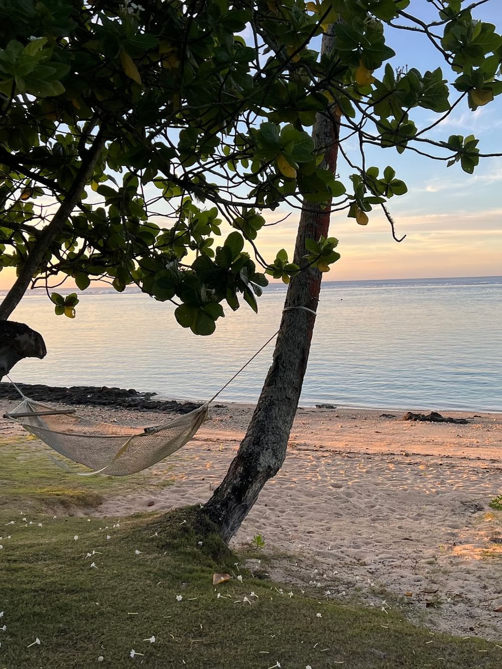 A hammock hangs between coastal trees on a tranquil beach at sunset with calm ocean waters and soft pastel skies.