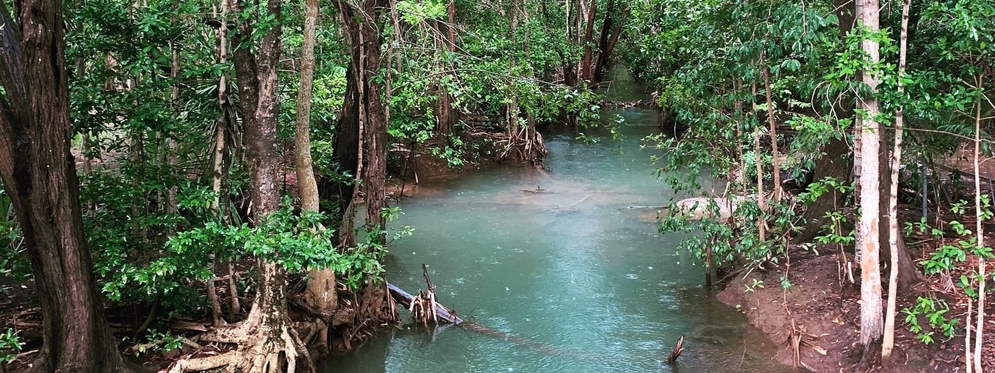 Rapid creek with the jungle near Darwin Airport Hotels
