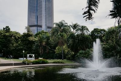 The stunning parkland view from the Royal on the Park Hotel, perfect for an outdoor wedding