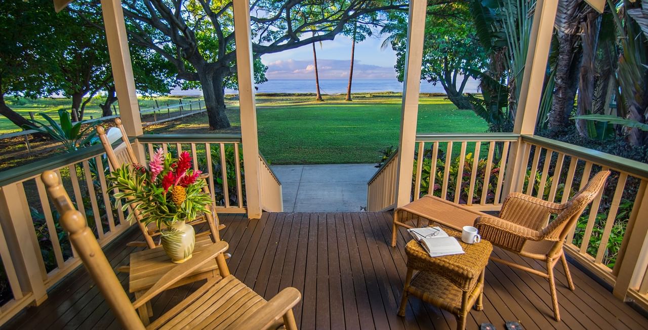 Chairs, vase, ocean, and trees