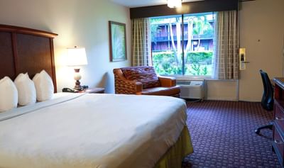 Deluxe King Room with One King Bed at Rosen Inn International