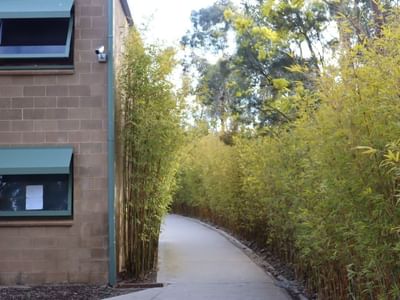 Brick building with surveillance camera and bamboo-lined walkway at La Trobe University Units.