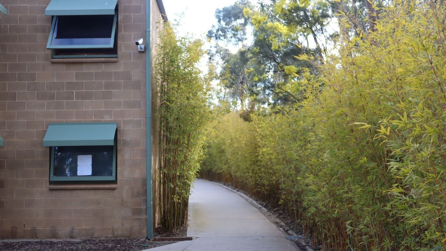 Brick building with surveillance camera and bamboo-lined walkway at La Trobe University Units.
