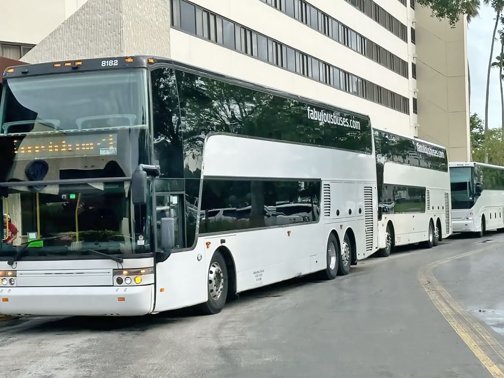 Theme Park shuttle buses at Lake Buena Vista Resort Village & Spa