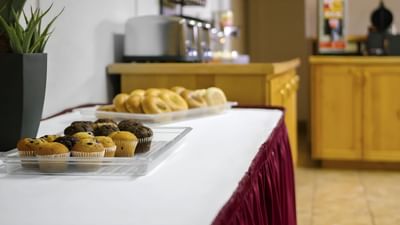 Tasty spread of muffins and bagels on a white tablecloth with a plant, in a calm breakfast area at Moab Valley Inn