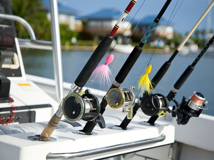 4 fishing rods on a holder in a boat in Key Largo Fishing Adventures LLC near Bayside Inn Key Largo