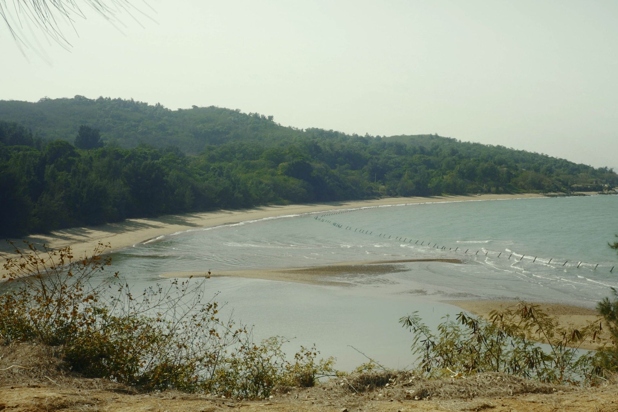 Peaceful coastal landscape with a curved sandy beach, forested hills and gentle waves