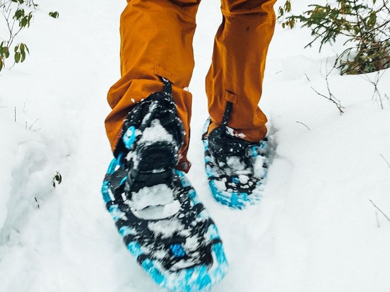 Close-up of snowshoes of a hiker near Falkensteiner Hotels