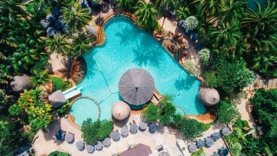 Bird eye view of main pool surrounded by the coconut trees at Paradox Resort Phuket