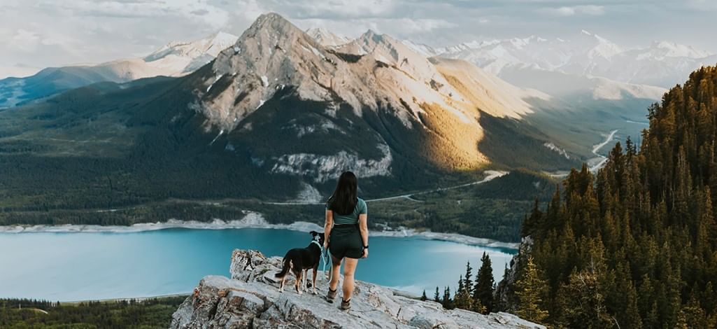 A person and their dog stand on a cliff's edge, admiring the mountain view near Canmore in the summer.