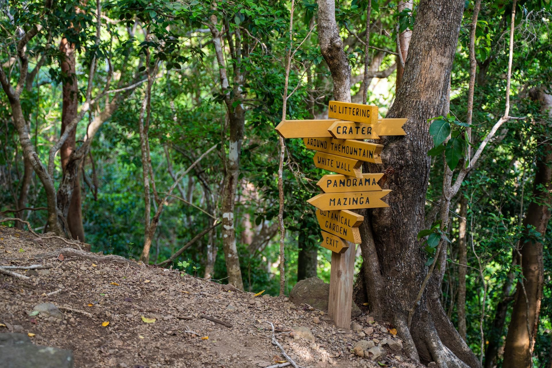 Houten richtingaanwijzers in een bos die naar verschillende bezienswaardigheden wijzen nabij Golden Rock Resort