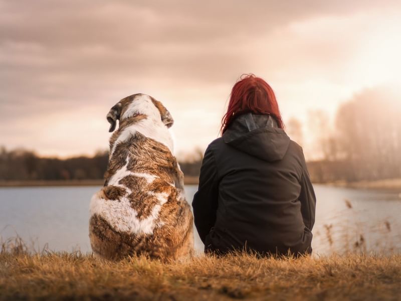 Girl sitting with dog looking at a lake