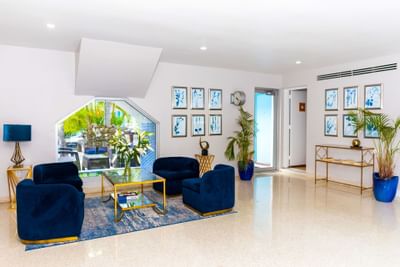 Couches & indoor plants in the front lobby at Aqua Hotel