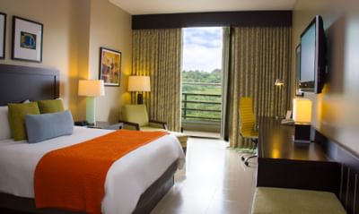 Cama Queen Deluxe