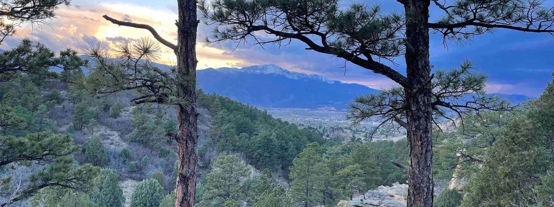 Mountain view through the forest near Kinship Landing