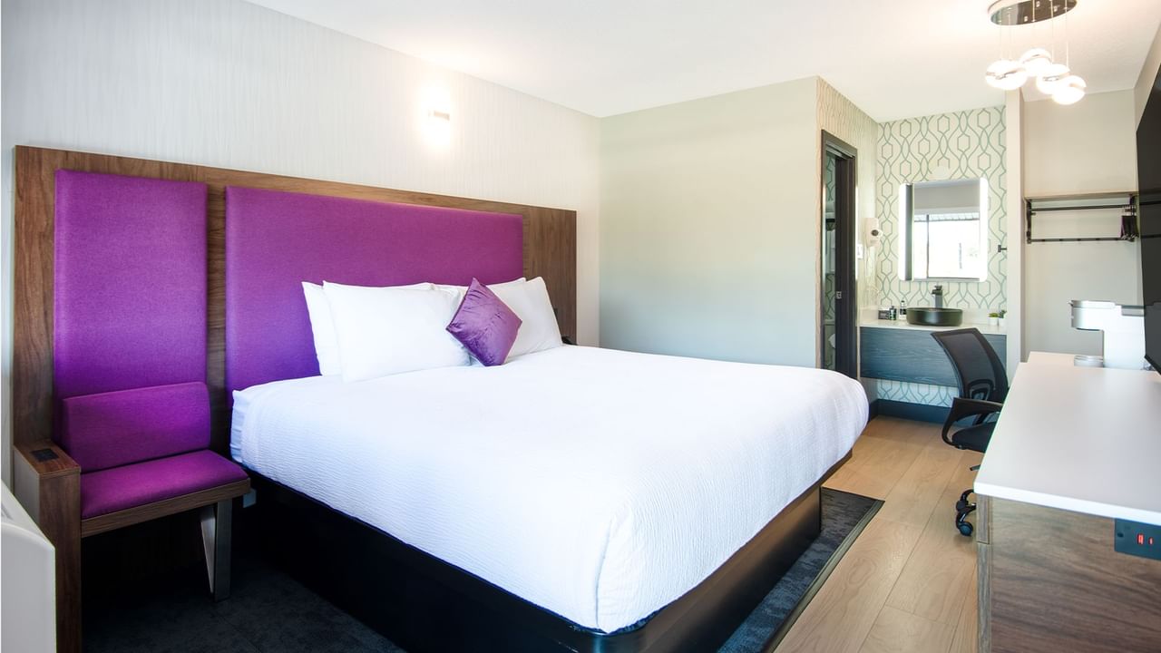 Hotel guest room with king bed