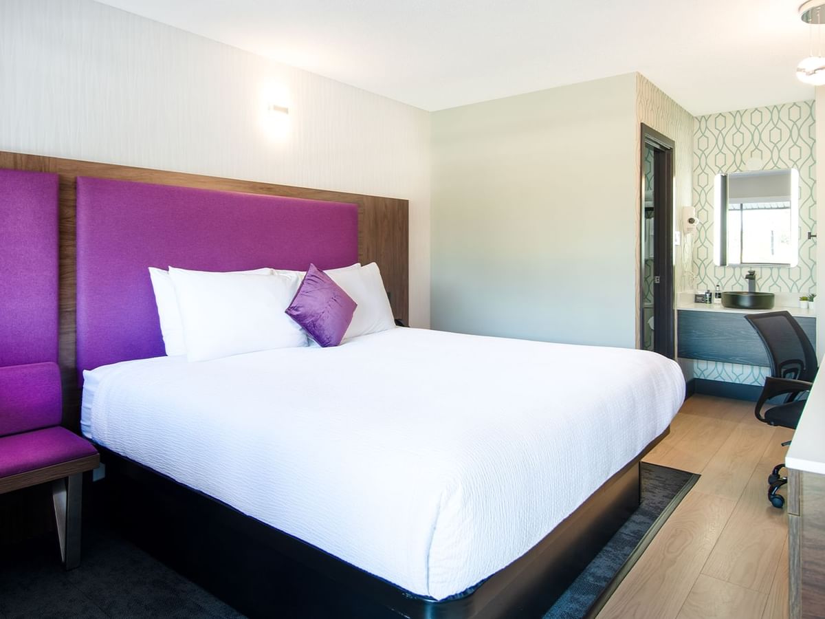 Hotel guestroom with king bed