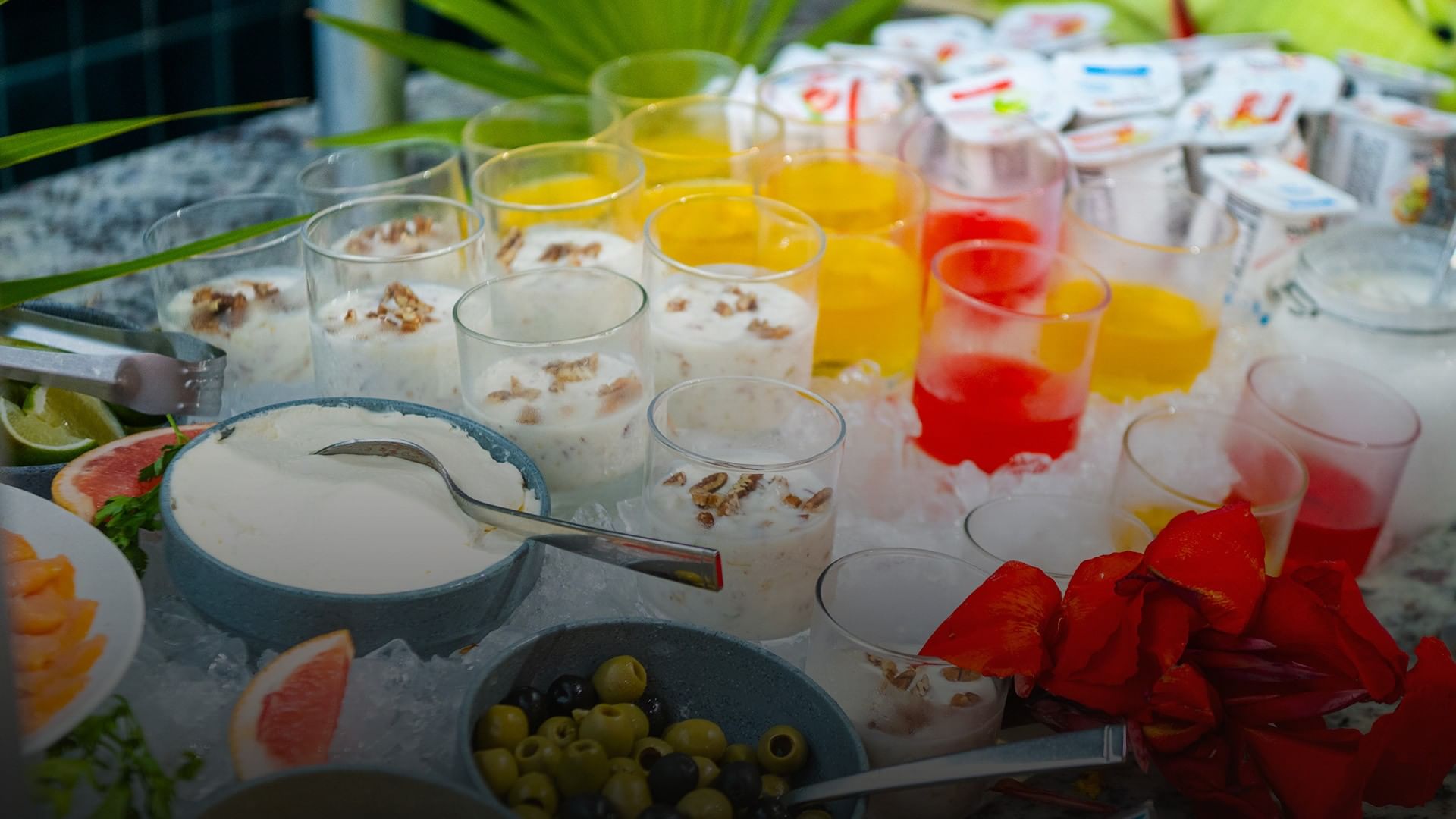 Un Buen Comienzo | Desayuno Incluido desde $2,922 MXN