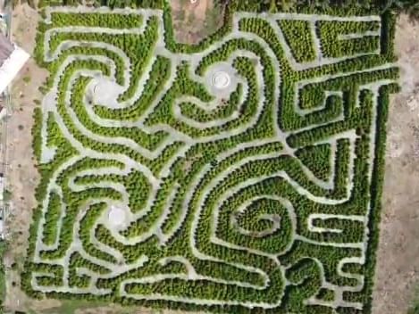 The structure of the square maze at Port Dickson