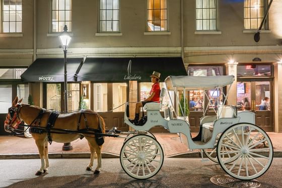 Horse cart in the entrance at night, La Galerie Hotel
