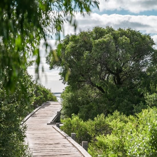 Beach access via Boardwalk