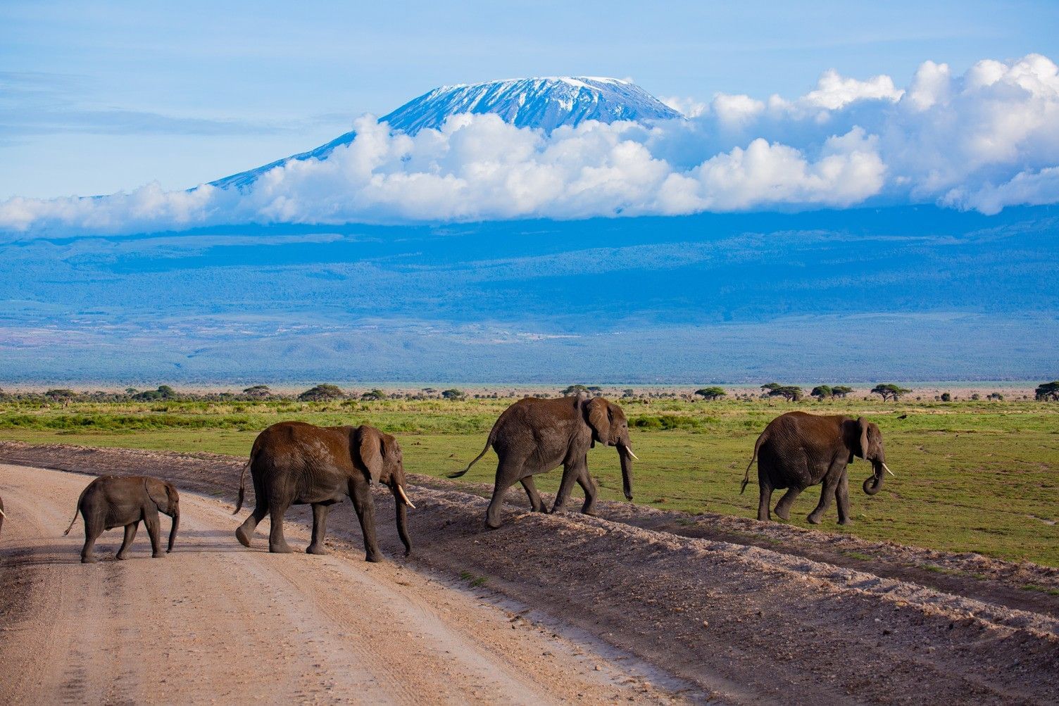 Amboseli Serena Safari Lodge on day 4 of Tsavo, Amboseli & Diani: All-Inclusive Bush-to-Beach by Air