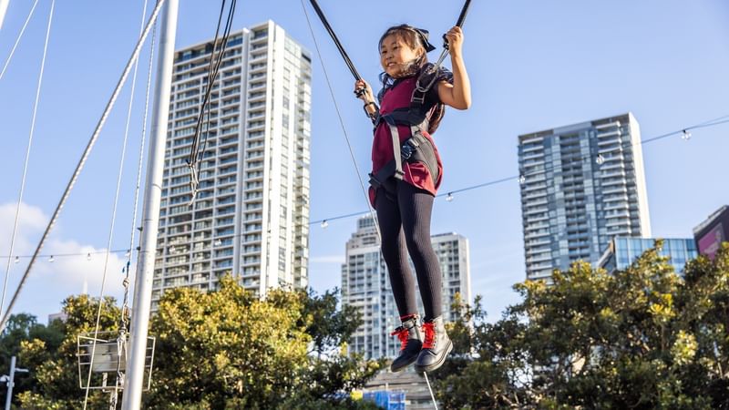 Flymotion Bungy Trampolining near ibis Sydney Darling Harbour