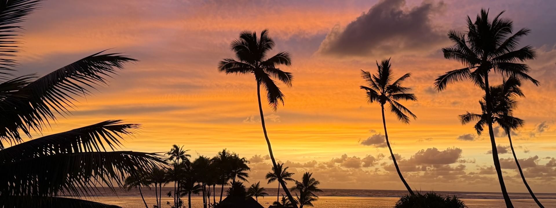 Sunset over ocean with coconut trees at Wicked Walu restaurant in Korolevu at Warwick Fiji Resort and Spa