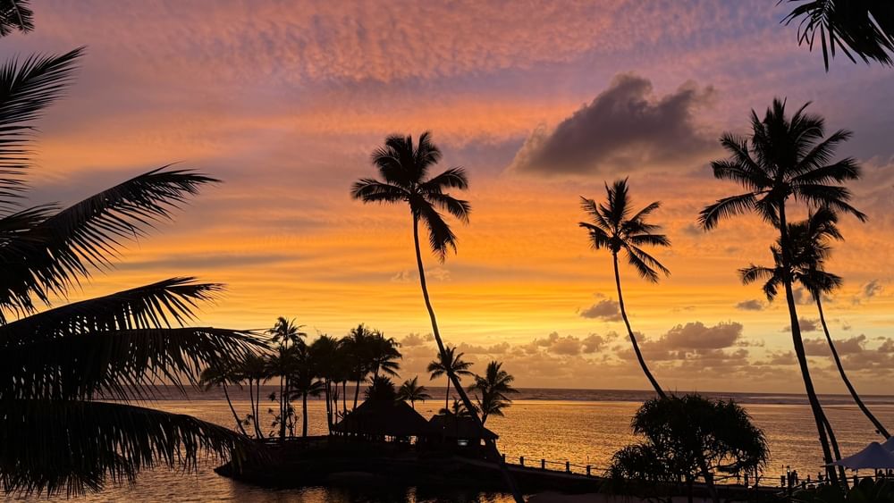 Sunset over ocean with coconut trees at Wicked Walu restaurant in Korolevu at Warwick Fiji Resort and Spa.