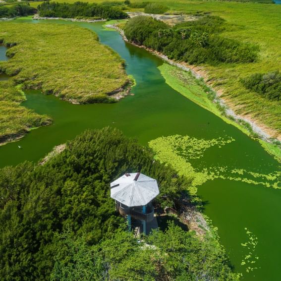 Aerial view of Bubali Bird Sanctuary near Amsterdam Manor