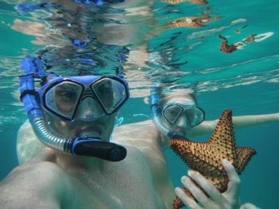 Two men Snorkeling at the beach in Somerset On Grace Bay