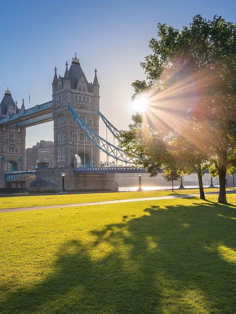 Sunlight streaming through a large tree with Tower Bridge near Warwick Hotels & Resorts