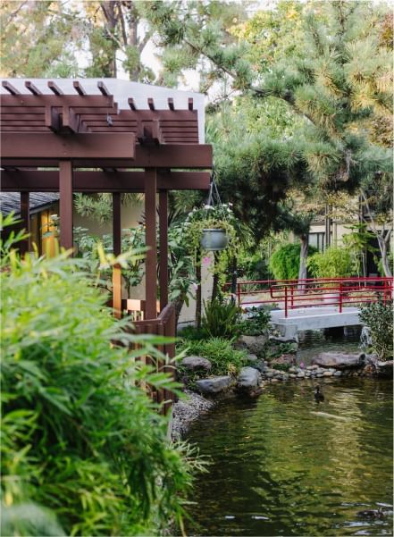 Pond in the Garden at Dinah's Garden Hotel