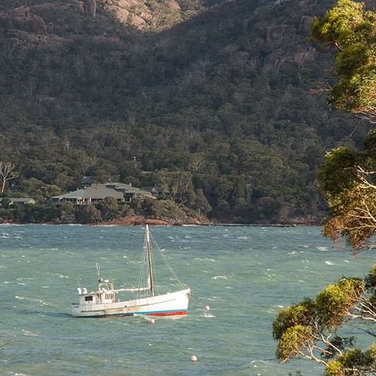 View of a Boat stopped at the coastline at Freycinet Lodge