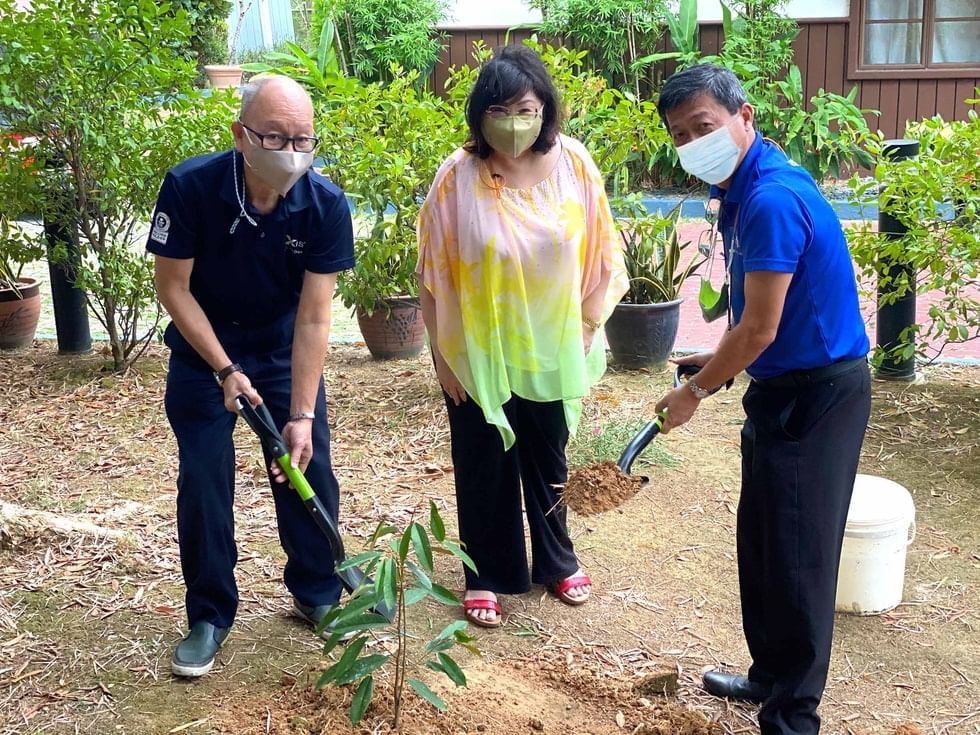 Tree Planting on World Environment Day