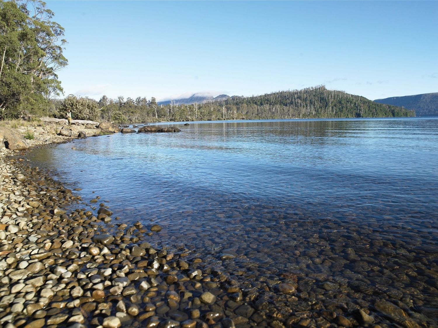 Serenity at Lake St Clair near Strahan Village