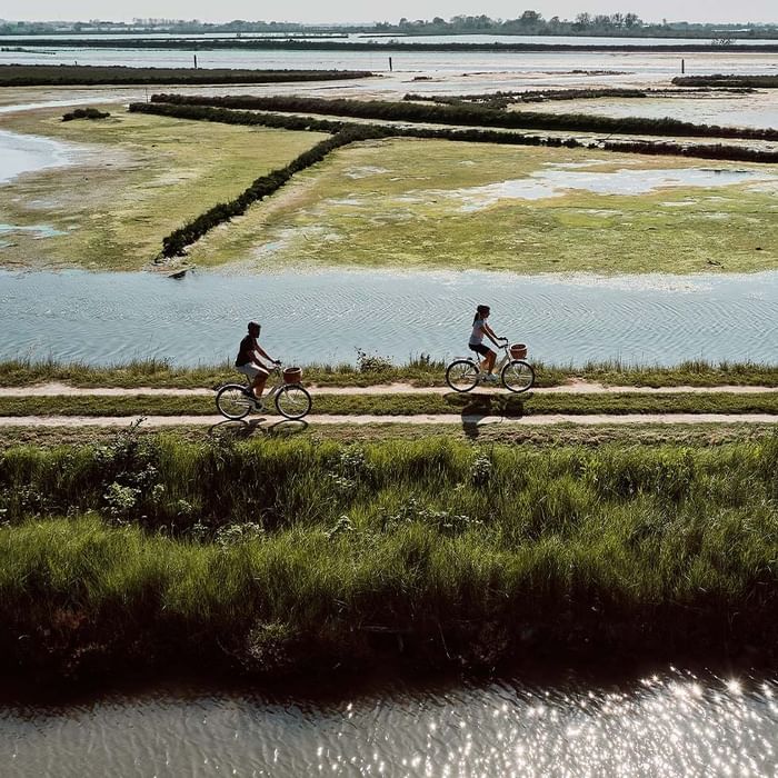 Two cyclists ride bikes with baskets along a path by a marshy lake with green patches and water.
