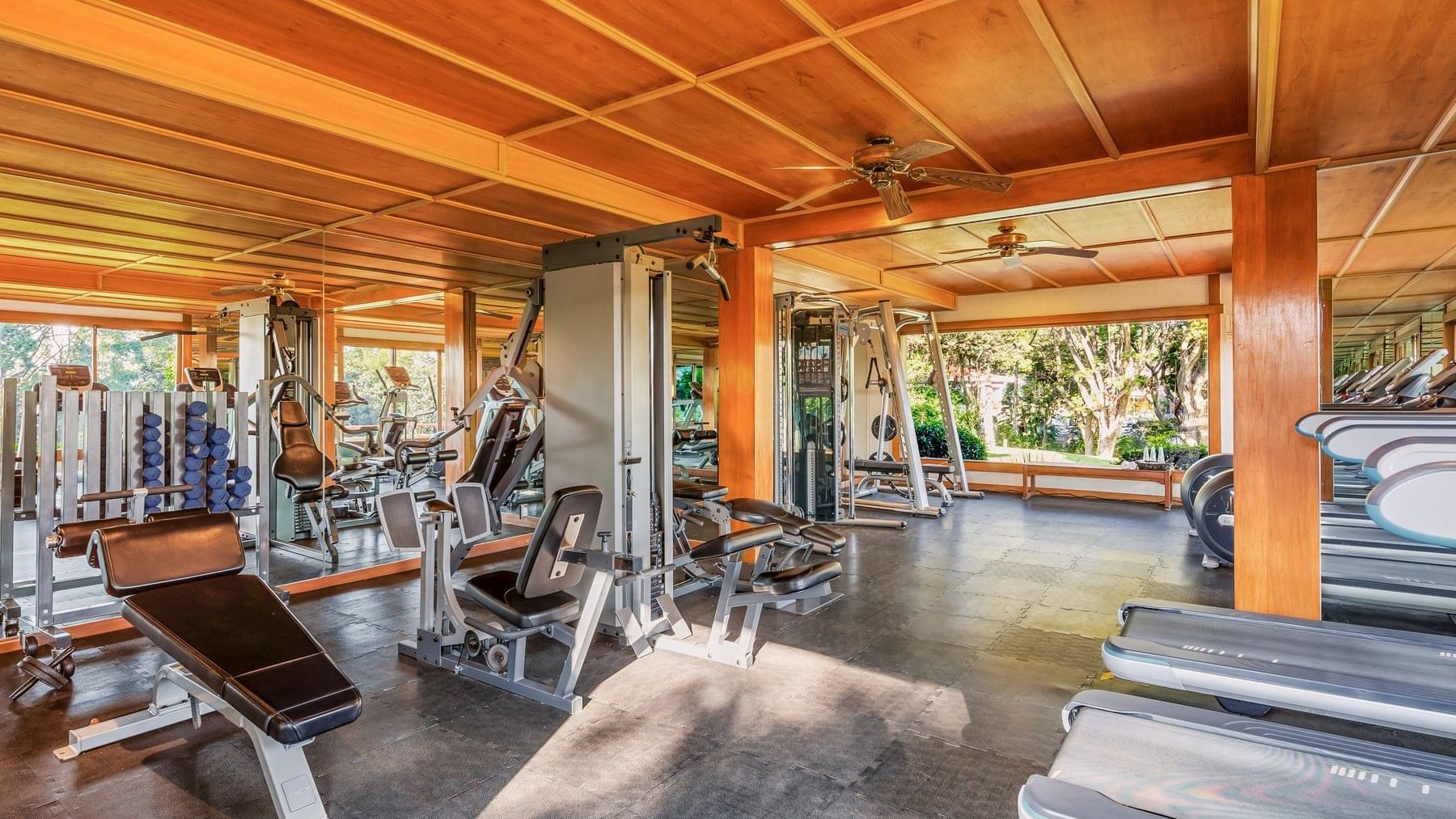 Gimnasio