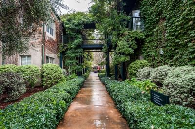 Southbridge exterior grounds with walkway