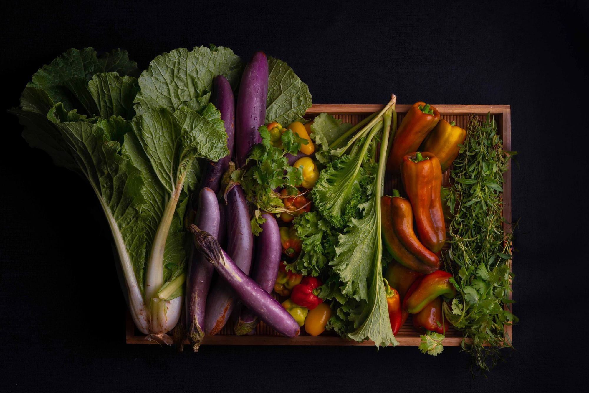 Fresh organic harvest featuring purple eggplants, leafy greens, and bell peppers at Cala Luna Boutique Hotel