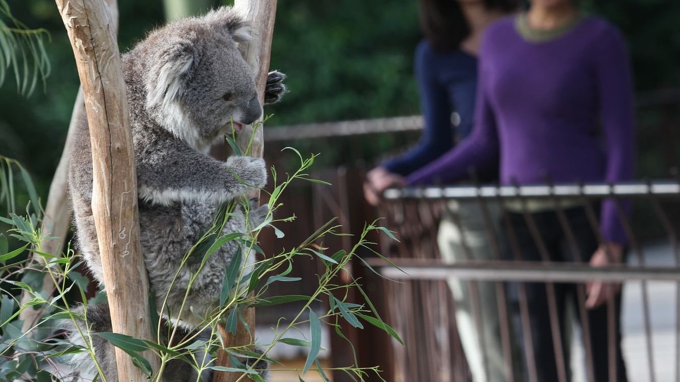 5 star Accommodation Melbourne CBD | Melbourne Hotels | CBD Melbourne