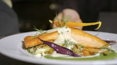 fancy salmon dish