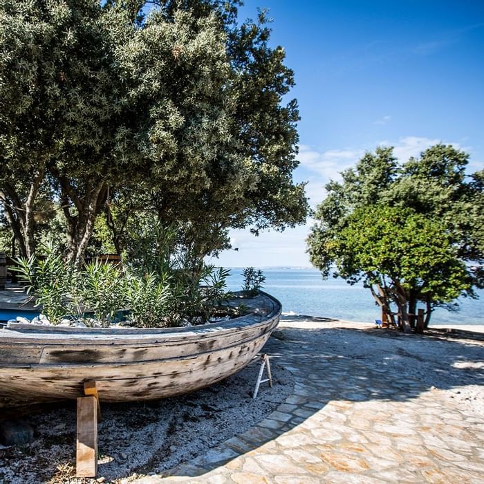 Vecchia barca di legno usata come aiuola sotto un albero vicino alla spiaggia.