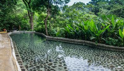 Pool at Buena Vista Del Rincon Eco Adventure Hotel And Spa