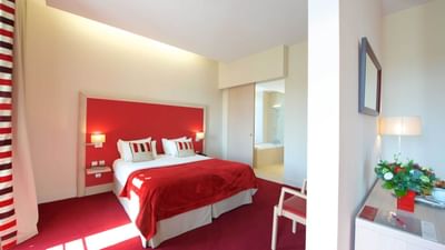 Privilege Room at Hôtel du Parc in Salies-de-Béarn, France
